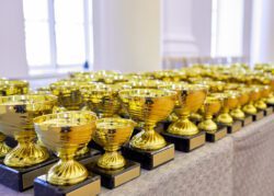 Auhinnaliste kohtade karikad